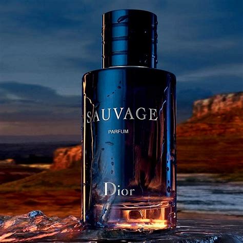 dupe dune dior|dupe dior sauvage.